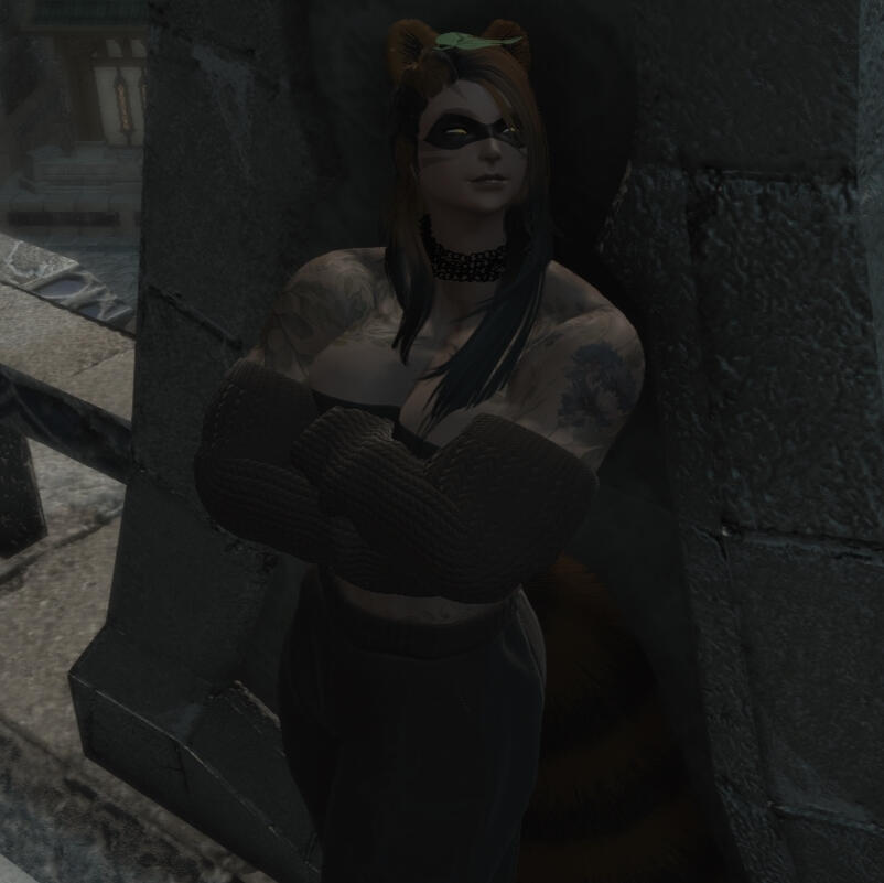 Barion Fester